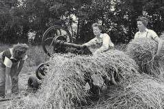 1940s-Land-girls-harveting-2