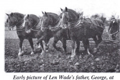photo of team of 4 horses ploughing