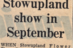 press report