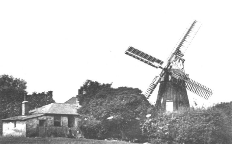 black and white photo