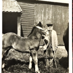 Horse and Horseman