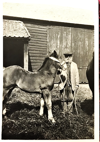 Horse and Horseman