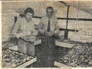 1975, image of fossils found in Stowupland