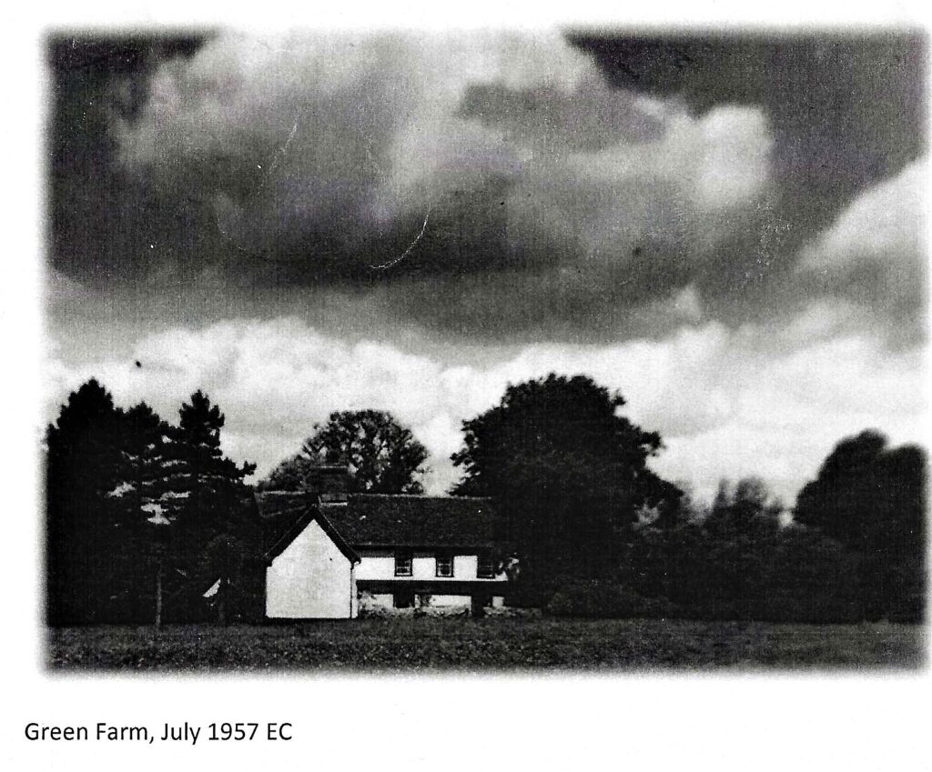 Image of Green farm