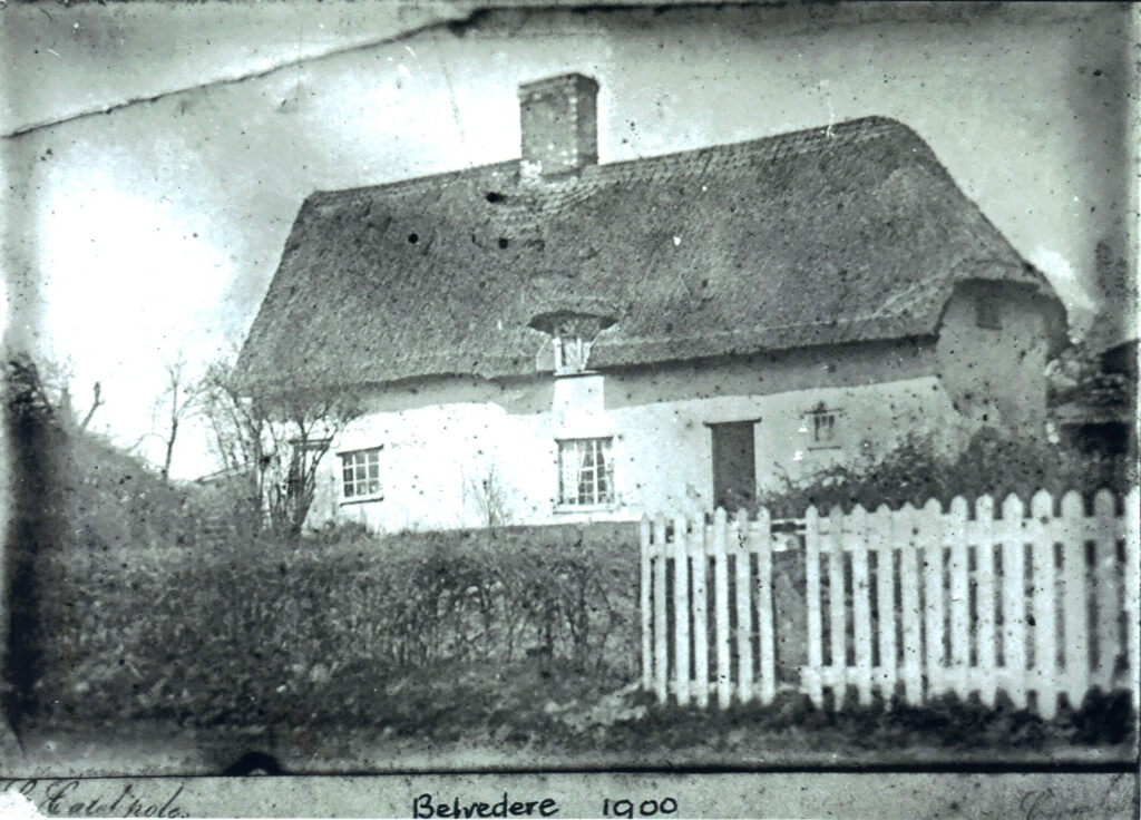 Tthatched Cottage
