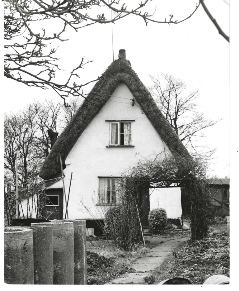 thatched house