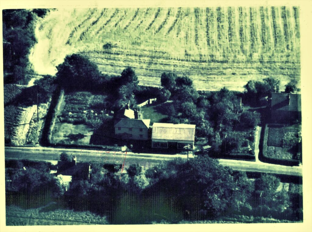 photo of house
