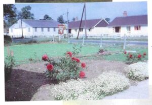 photo of bungalows