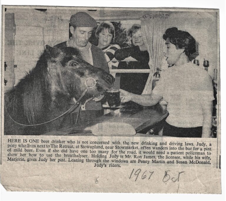 photo of horse in a pub