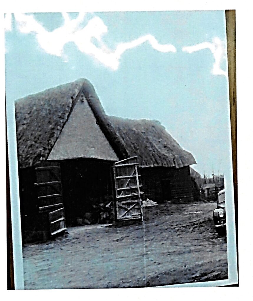 black and white photo of a thatched barn