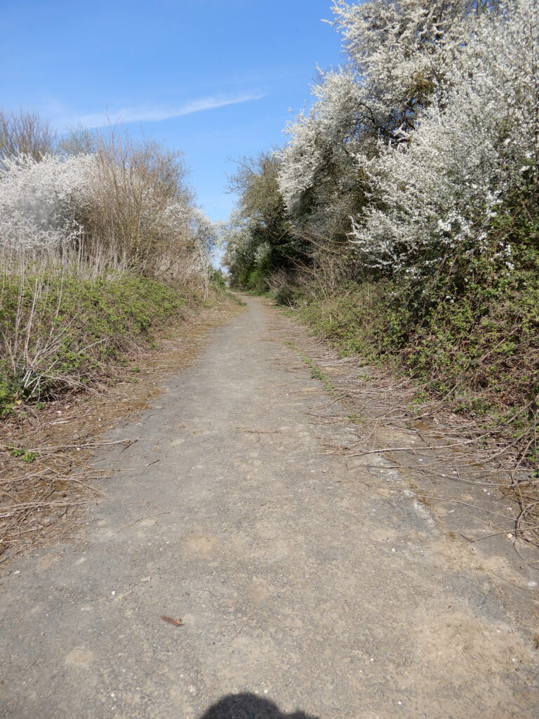 Old Road