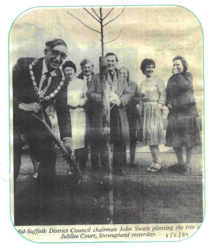 people planting a tree