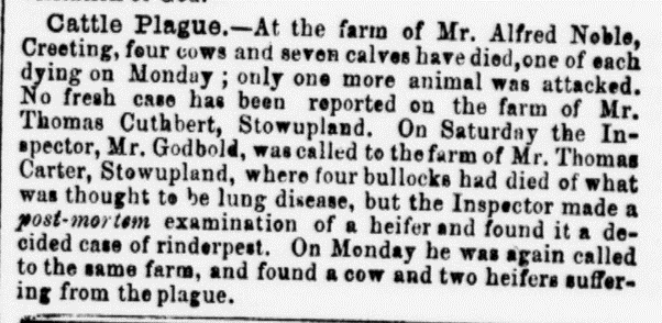 1855 press report on cattle plague in Stowupland