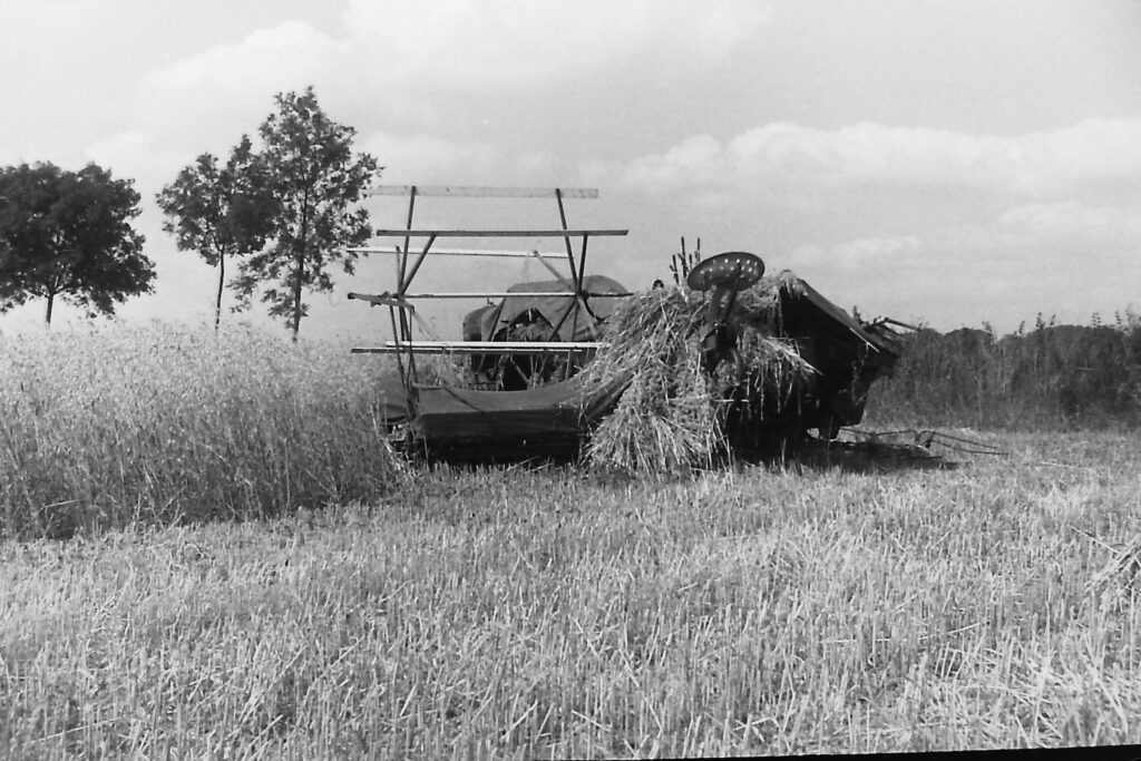 1940 Harvesting