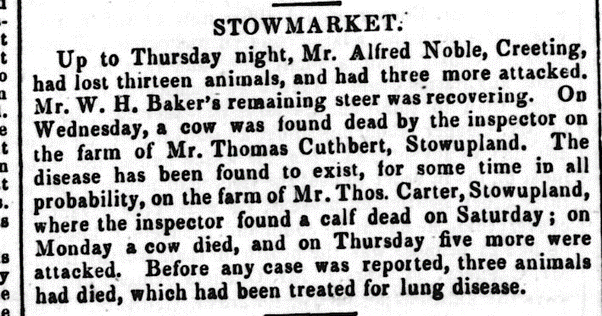 1866 press report on cattle deaths in Stowupland