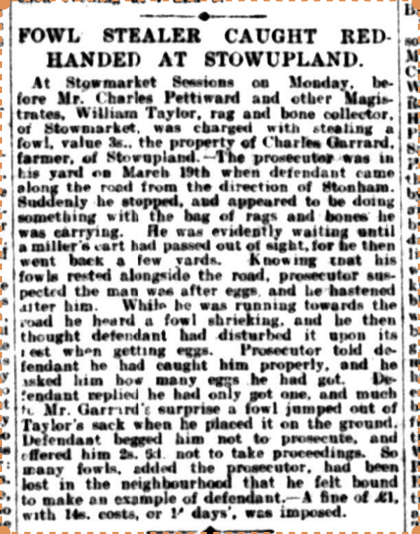 Report of a chicken theft in 1910