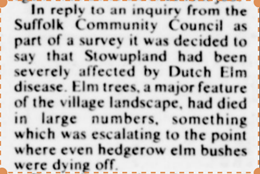 1978 report on Elm Disease