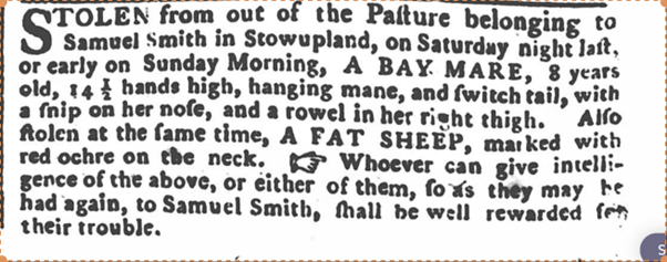 1787 missing sheep and mare