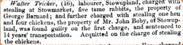 1841, 16 year old sentenced to transportation for 14 years for stealing 5 chickens.