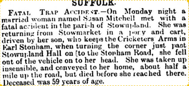 1891 report on pony and trap accident